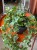 Bluszcz pospolity 'Gold Child'  Hedera helix 'Gold Child (1).jpeg