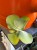IMG_8391.jpeg