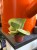 IMG_8390.jpeg