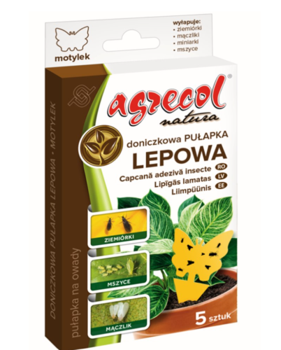 Doniczkowa Pułapka lepowa Motylek na ziemiórki