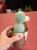 Tephrocactus geometricus (3).jpeg