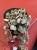 Ceropegia woodii RÓŻOWA Ceropegia variegata  (4).jpeg